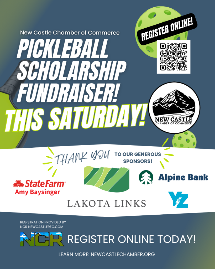 Sponsor Pickleball
